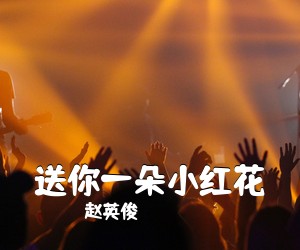 赵英俊《送你一朵小红花吉他谱》(G调)