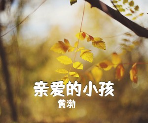 黄渤《亲爱的小孩吉他谱》