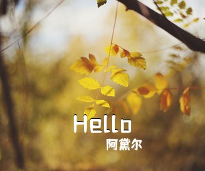 阿黛尔《Hello吉他谱》(G调)