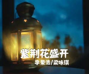 李荣浩/梁咏琪《紫荆花盛开吉他谱》(C调)
