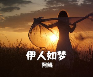 阿鲲《伊人如梦吉他谱》