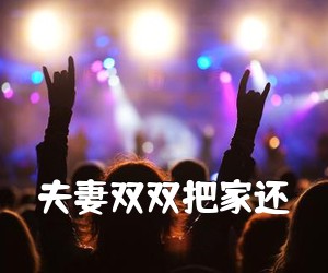 《夫妻双双把家还吉他谱》(G调)