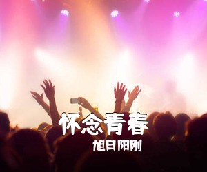 旭日阳刚《怀念青春吉他谱》(G调)
