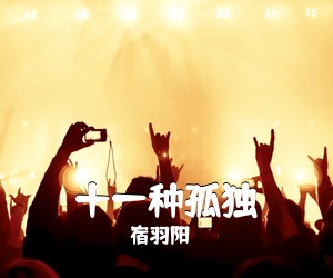 宿羽阳《十一种孤独吉他谱》(C调)
