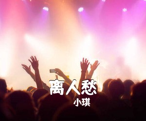 小琪《离人愁吉他谱》(C调)