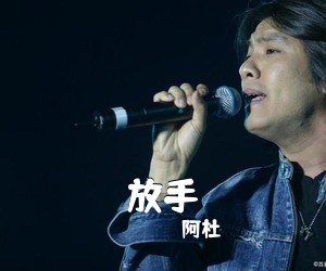 阿杜《放手吉他谱》(C调)