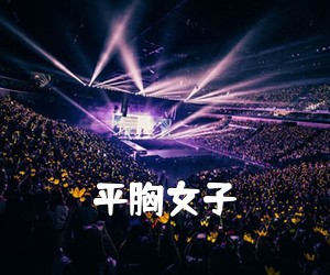 《平胸女子吉他谱》(C调)
