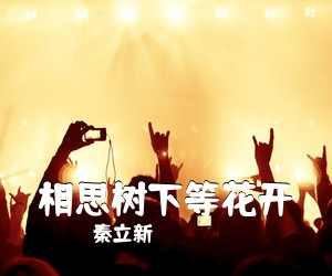 秦立新《相思树下等花开简谱》