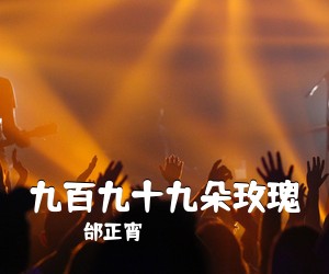 邰正宵《九百九十九朵玫瑰吉他谱》(C调)