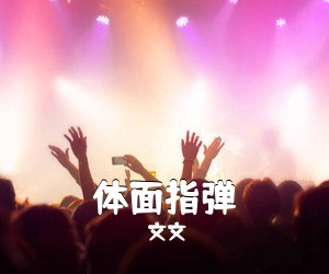 文文《体面指弹吉他谱》