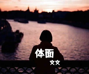 文文《体面吉他谱》(C调)