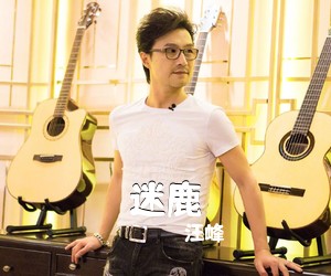 汪峰《迷鹿吉他谱》(C调)