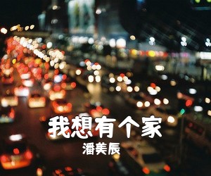 潘美辰《我想有个家吉他谱》(G调)