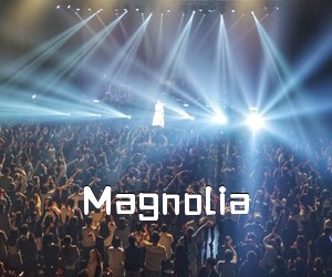 《Magnolia吉他谱》
