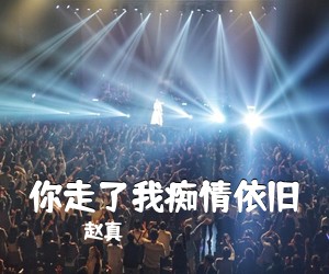 赵真《你走了我痴情依旧简谱》