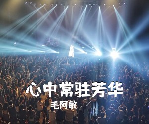 毛阿敏《心中常驻芳华简谱》
