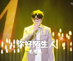 毛不易《你好陌生人吉他谱》(C调)