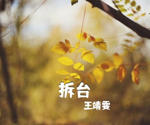 王靖雯《拆台吉他谱》(G调)