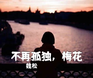 魏松《不再孤独，梅花简谱》