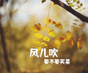 要不要买菜《风儿吹吉他谱》(C调)
