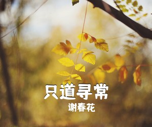 谢春花《只道寻常吉他谱》(C调)