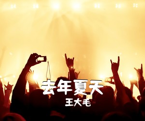 王大毛《去年夏天吉他谱》(G调)