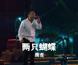 庞龙《两只蝴蝶吉他谱》