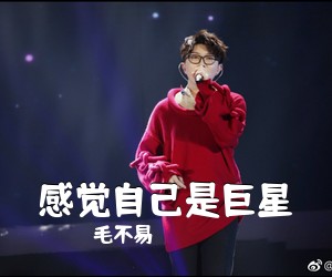 毛不易《感觉自己是巨星吉他谱》(C调)