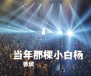 张斌《​当年那棵小白杨简谱》