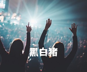 《黑白猪钢琴谱》