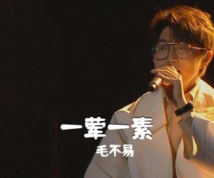 毛不易《一荤一素吉他谱》(C调)