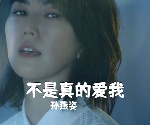 孙燕姿《不是真的爱我吉他谱》(C调)