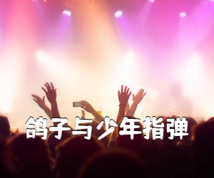 《鸽子与少年指弹吉他谱》(D调)