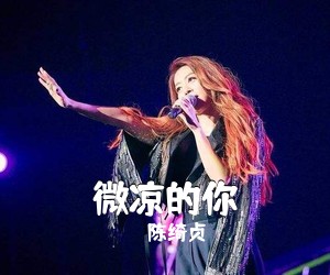 陈绮贞《微凉的你吉他谱》(C调)