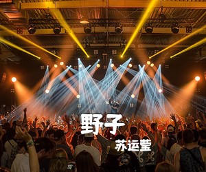 苏运莹《野子吉他谱》(C调)