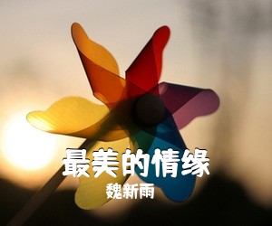 魏新雨《最美的情缘简谱》