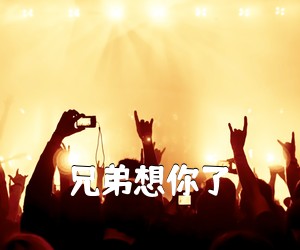 《兄弟想你了吉他谱》(C调)