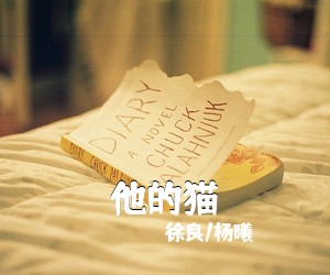 徐良/杨曦《他的猫吉他谱》(G调)