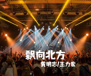 黄明志/王力宏《飘向北方吉他谱》(G调)