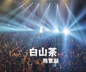 陈雪凝《白山茶吉他谱》(C调)