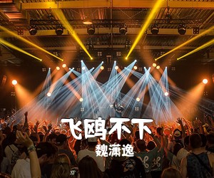 魏潇逸《飞鸥不下简谱》