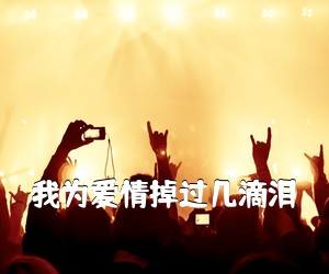 《我为爱情掉过几滴泪吉他谱》(G调)