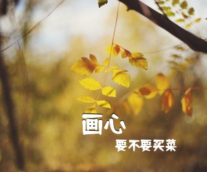 ***买菜《画心吉他谱》(C调)