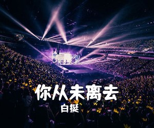 白挺《你从未离去吉他谱》(C调)