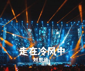 刘思涵《走在冷风中吉他谱》(C调)
