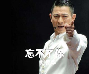 刘德华《忘不了你吉他谱》(C调)