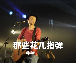 朴树《那些花儿指弹吉他谱》