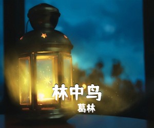 葛林《林中鸟吉他谱》(C调)