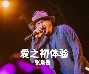 张震岳《爱之初体验吉他谱》(G调)