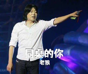 老狼《同桌的你吉他谱》(D调)
